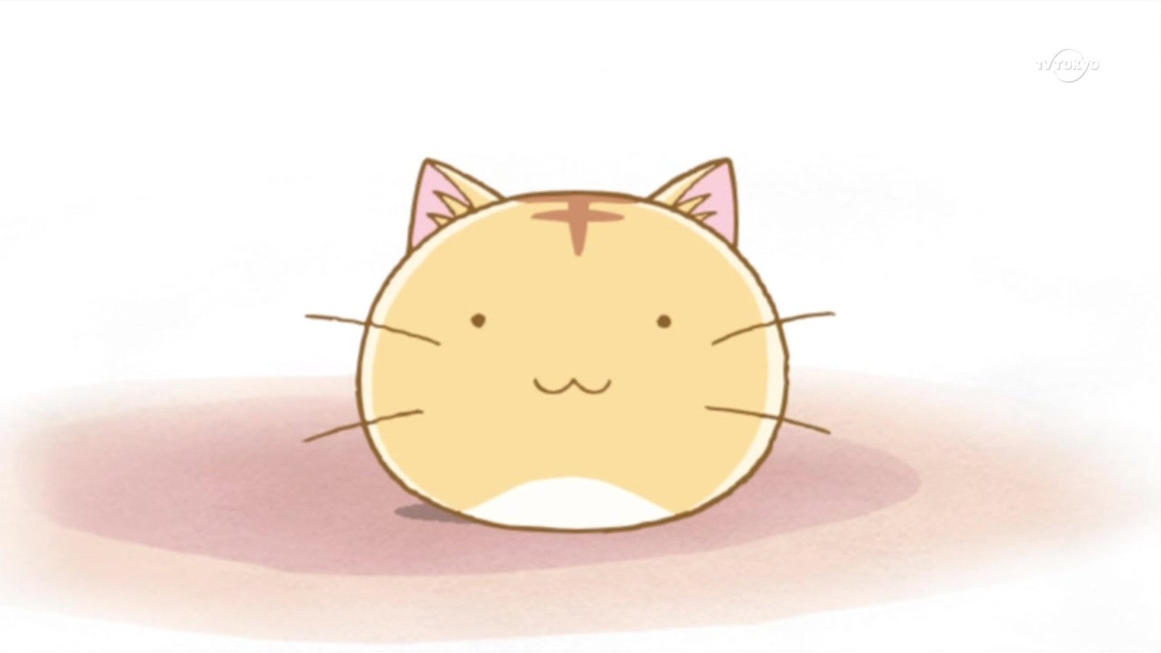 Круглый кот аниме