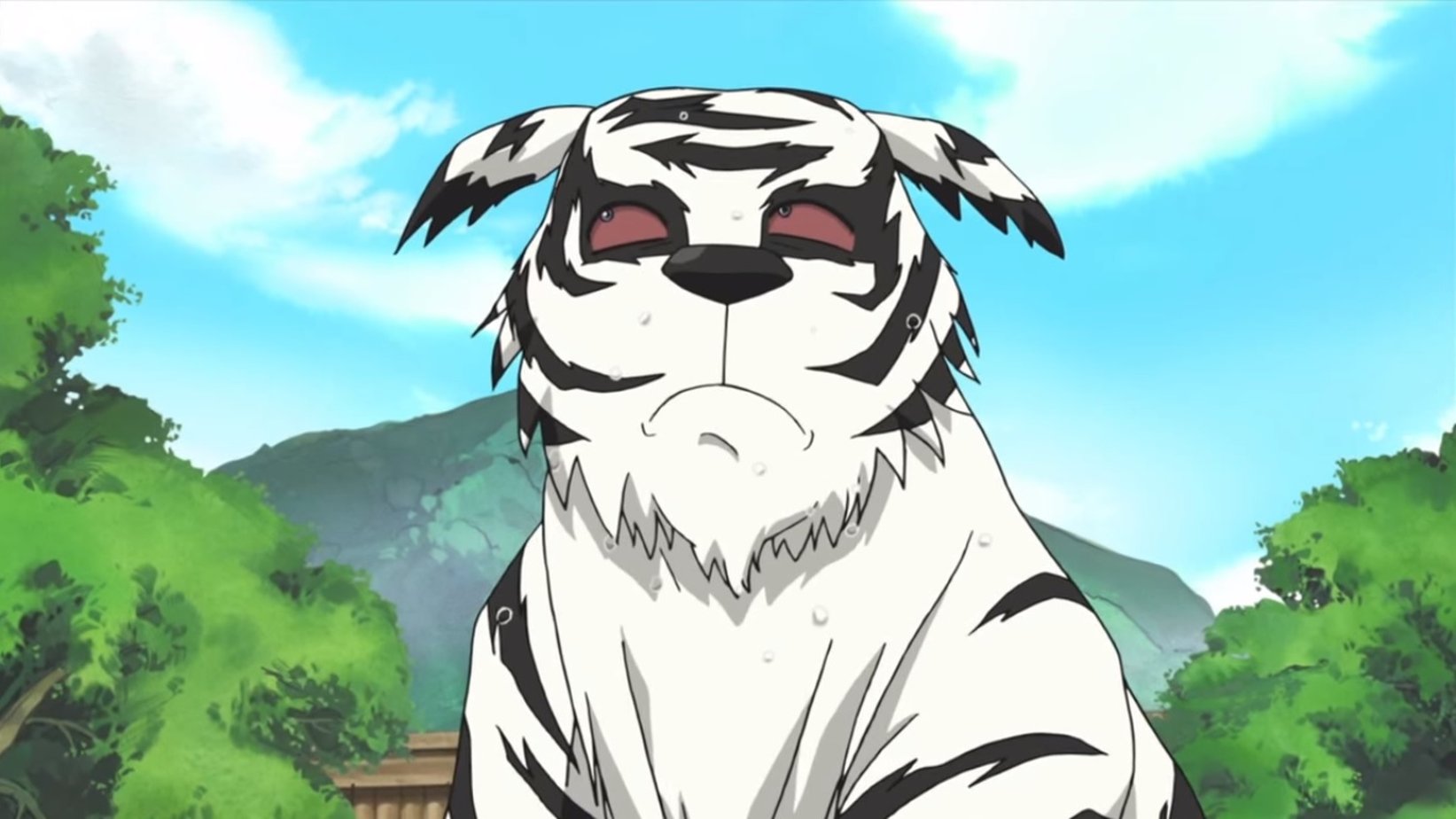 Аниме прославленный белый тигр