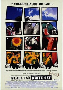Чёрная кошка, белый кот