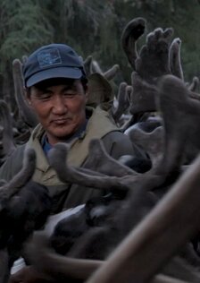 Северный ветер бывает тёплым