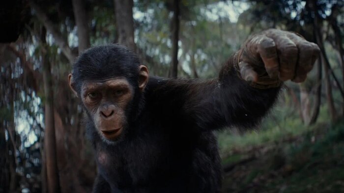«Планета обезьян: Новое царство»: тестовый показ прошёл очень плохо