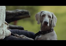 Каруза. Трейлер