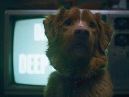 Хотите снять успешный хоррор? Вам нужен качественный хай-концепт